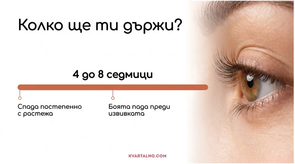 Инфографика колко издържа ламинирането на мигли
